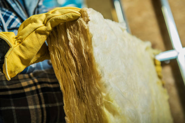 Best Insulation Replacement Services  in Wake Forest, NC
