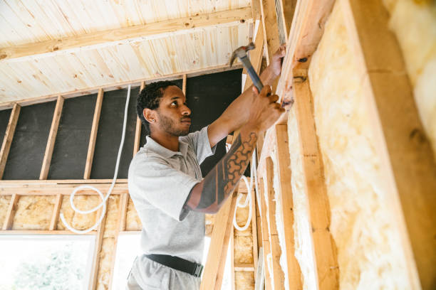 Best Professional Insulation Contractor  in Wake Forest, NC
