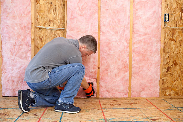 Best Garage Insulation Installation  in Wake Forest, NC