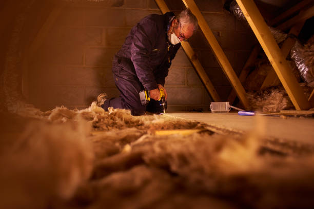 Best Insulation Inspection Services  in Wake Forest, NC